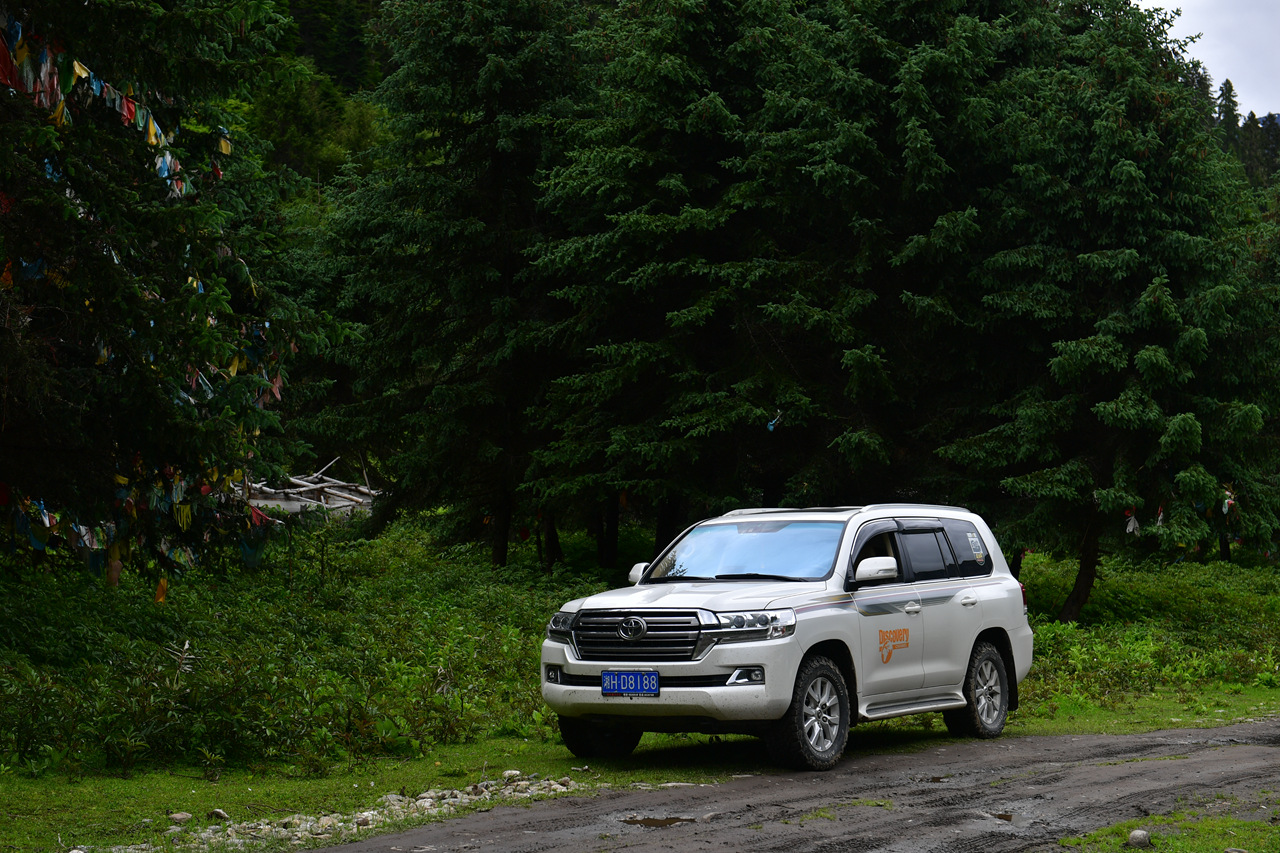 DSC_7151.jpg