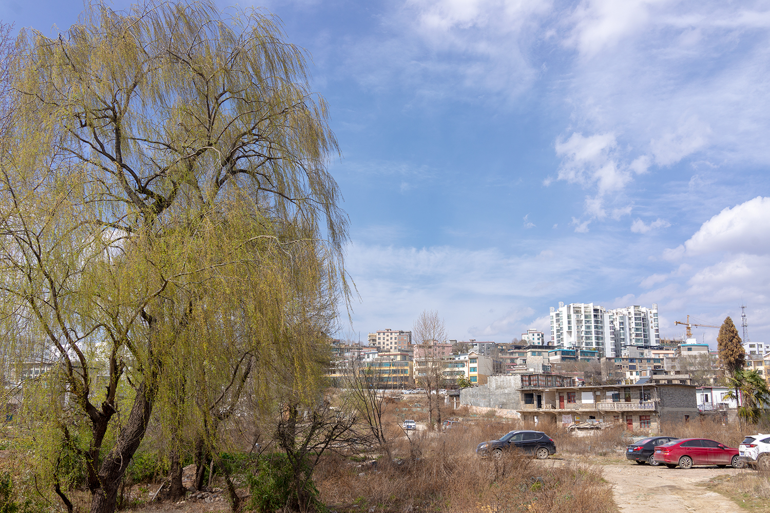 DSC01263.jpg