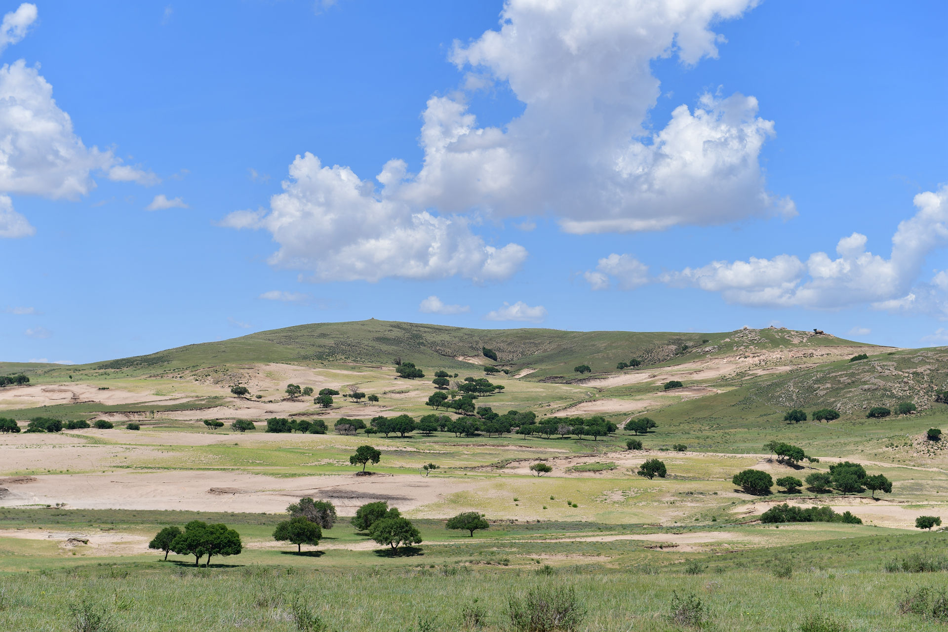DSC_4417.jpg