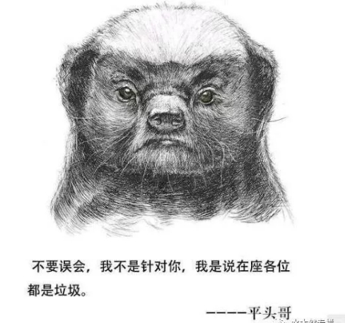 这就是我们吉姆尼纵队的形象代言人：平头哥蜜獾，个子小，但极其凶猛；胆子大，什么都不怕，喜欢到处溜达， ...