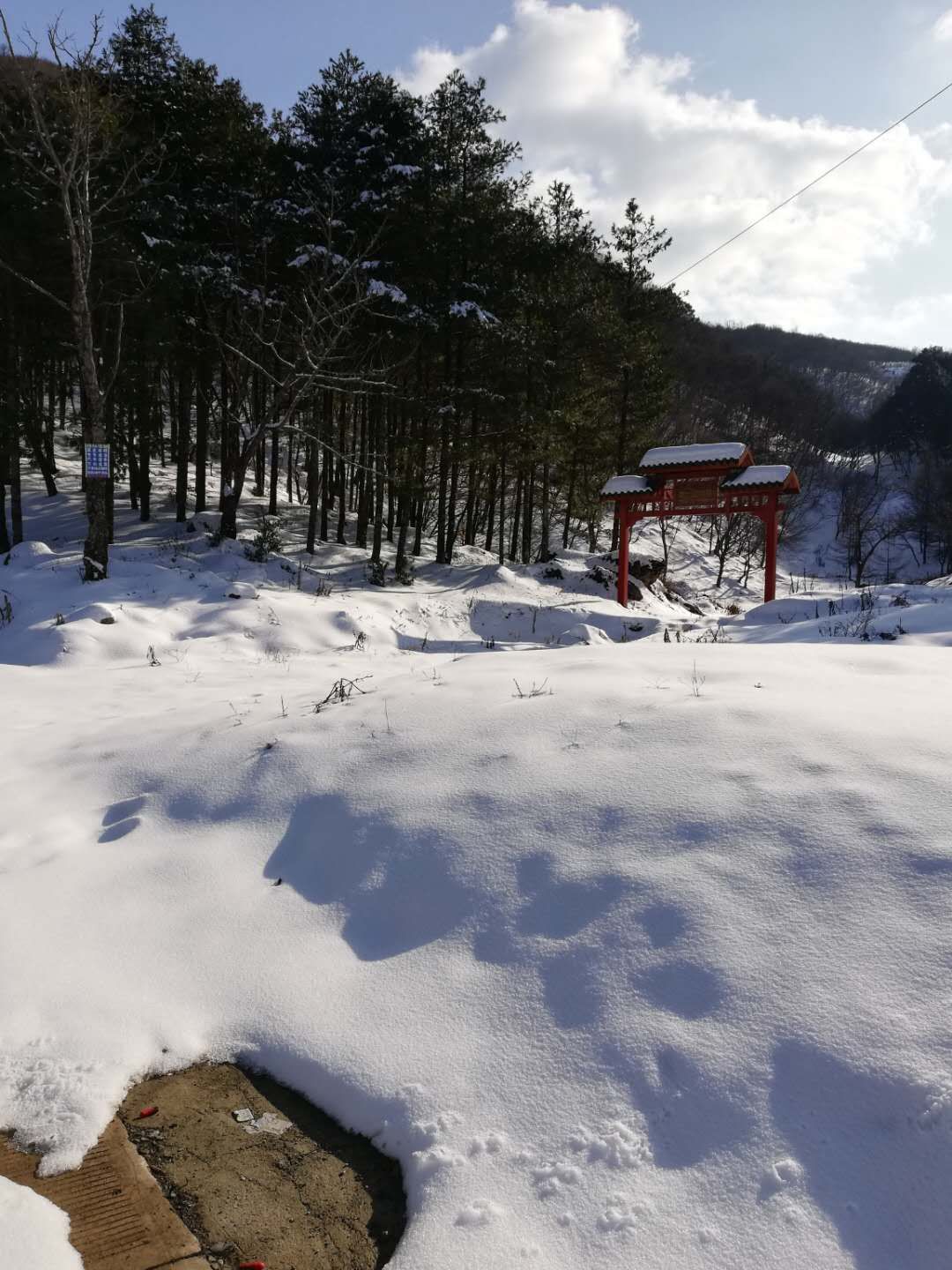 美