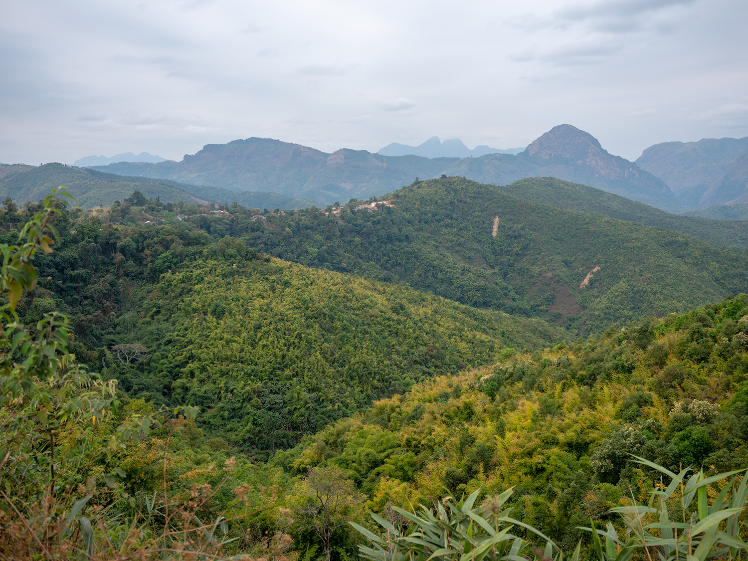 DSCF3814.jpg