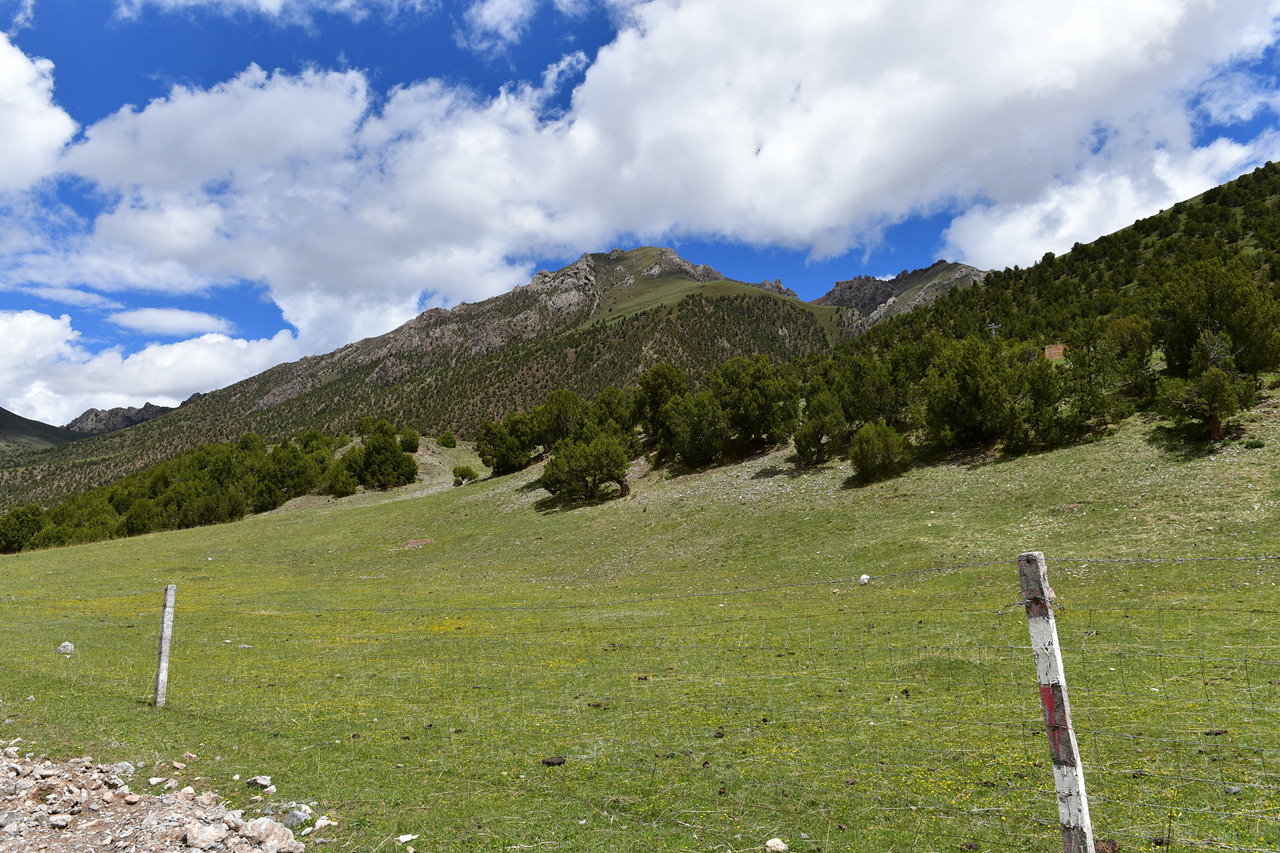 DSC_6908.jpg
