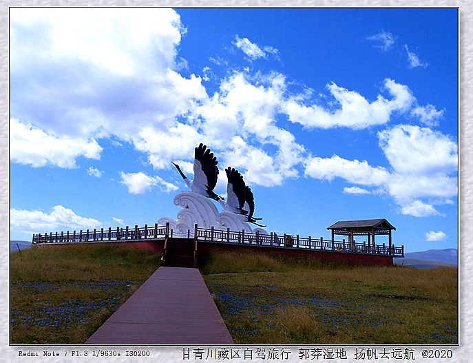 IMG_20200917_123747_副本.jpg