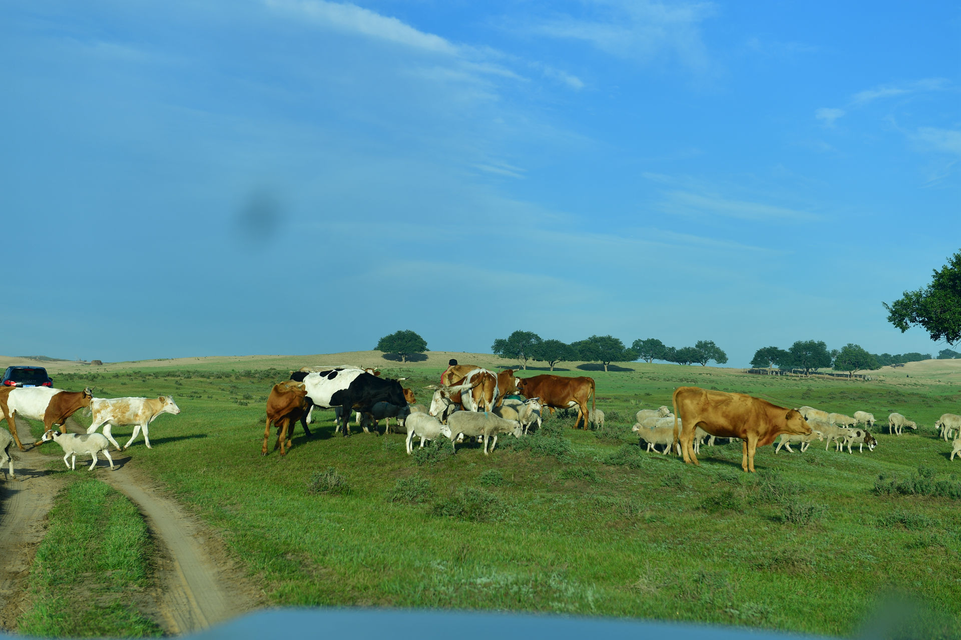 DSC_4673.jpg
