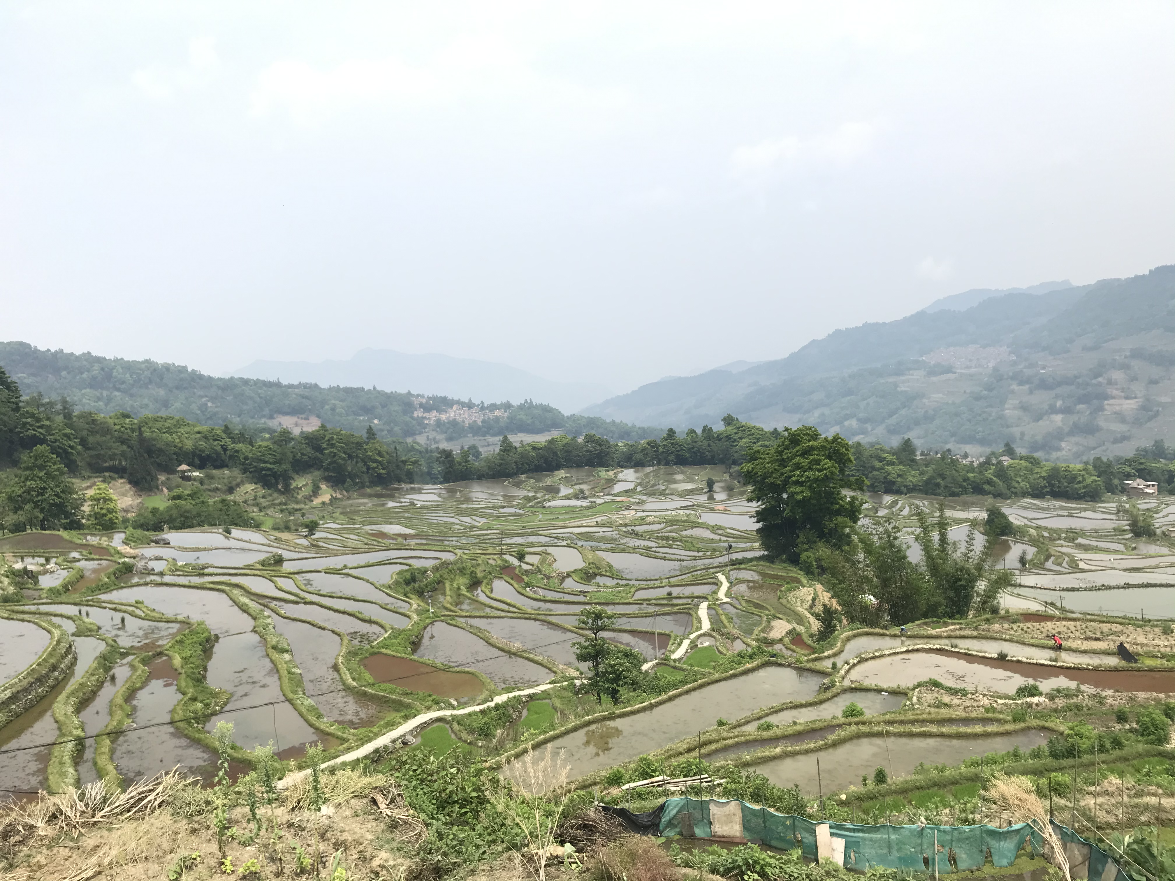 143555F8-ED31-40FB-A5AC-17405D24982A.jpeg