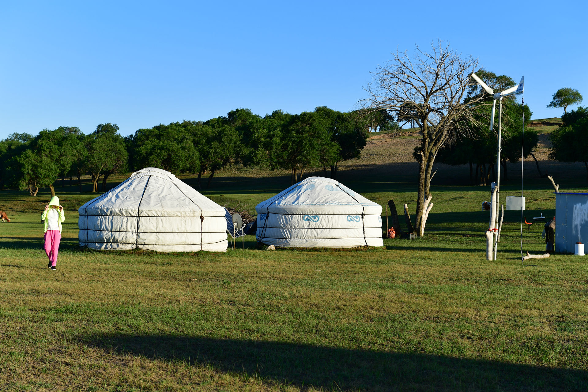 DSC_4649.jpg