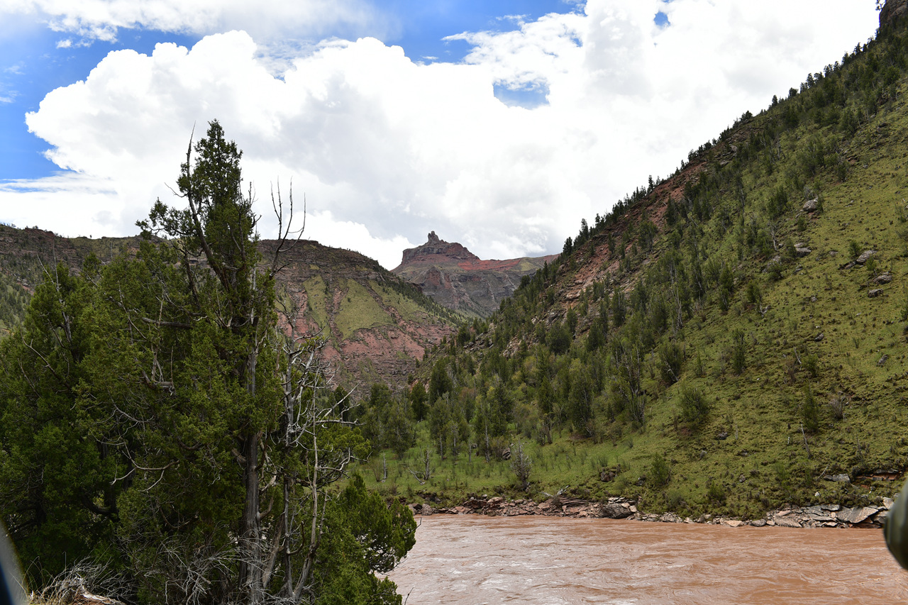 DSC_6930.jpg