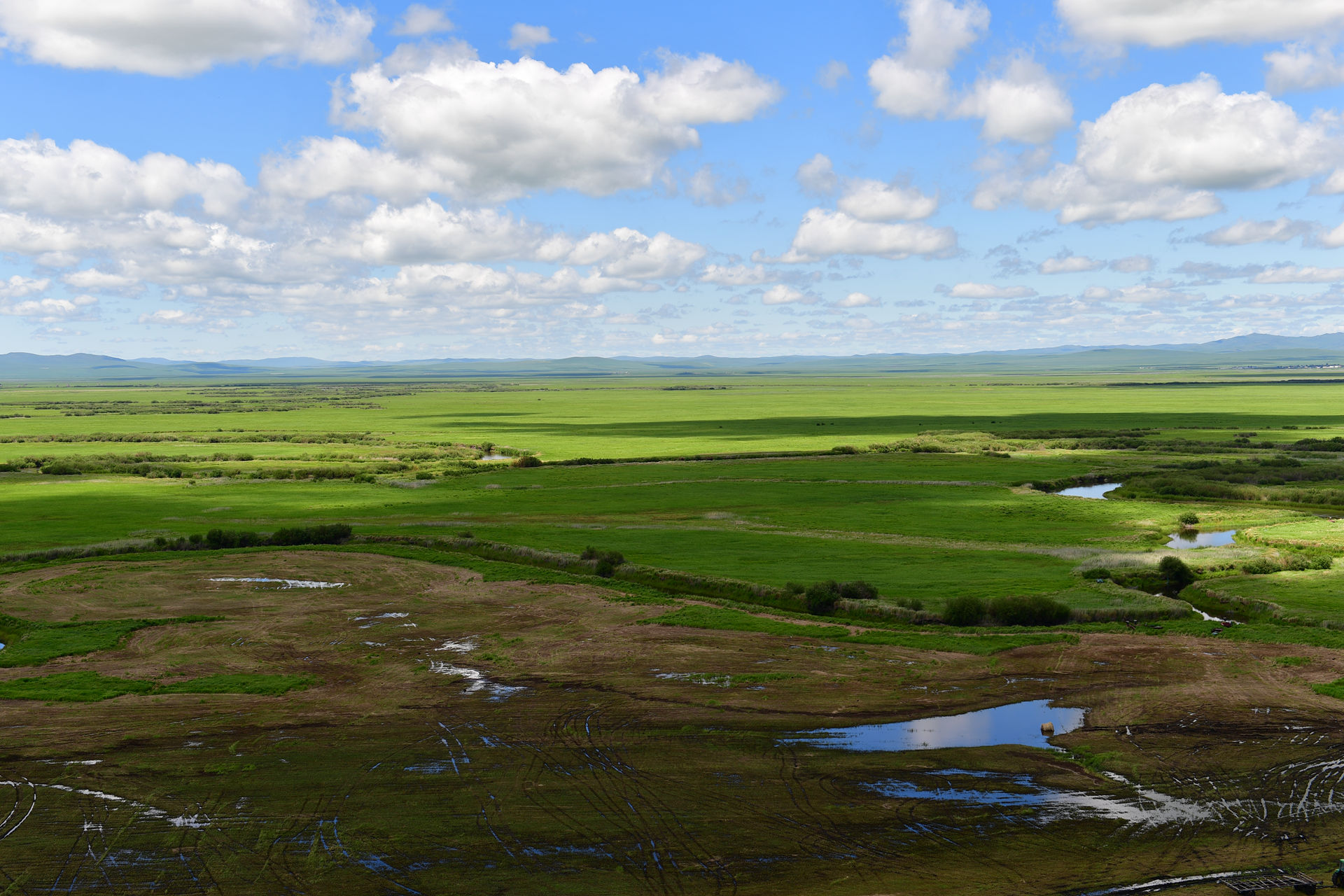 DSC_4791.jpg