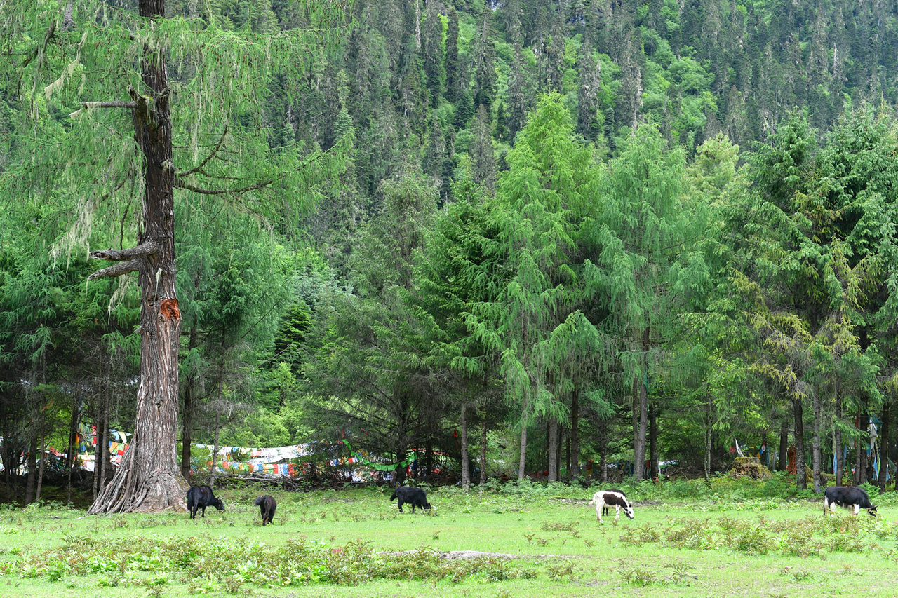 DSC_7146.jpg