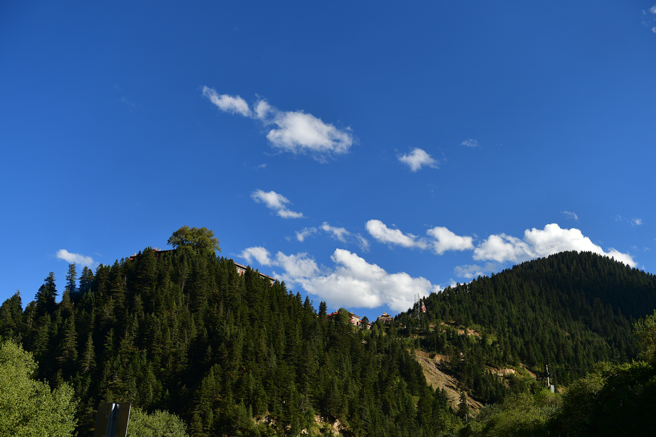 DSC_6831.jpg