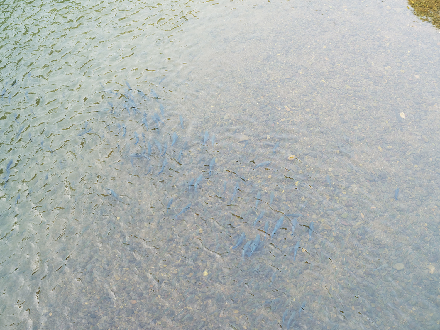 DSCF3097.jpg