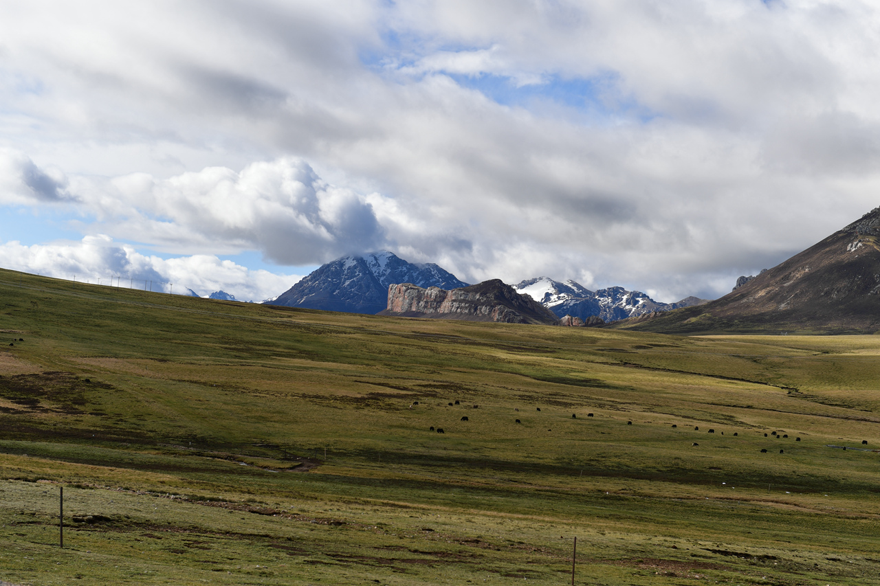 DSC_6880.jpg