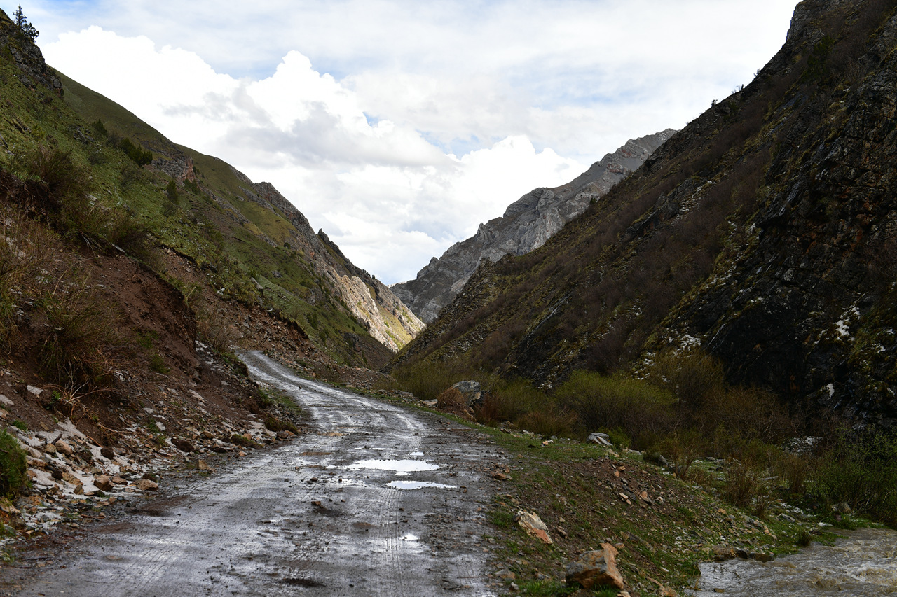 DSC_6955.jpg