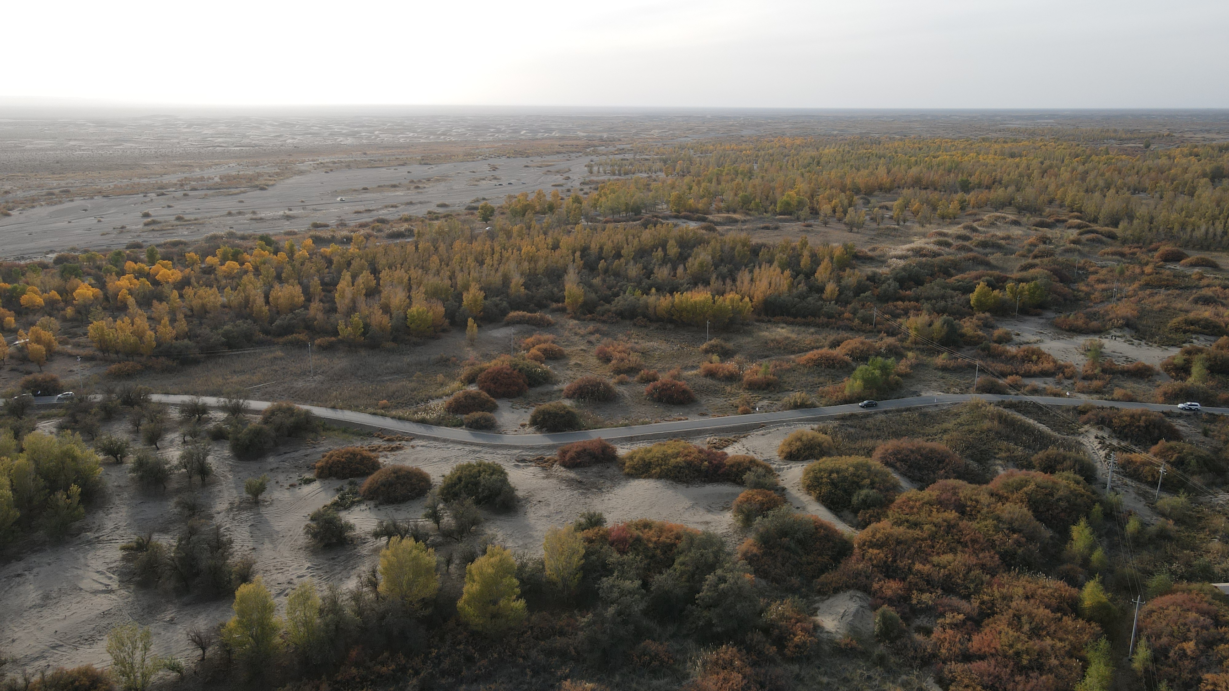 DJI_0064.JPG