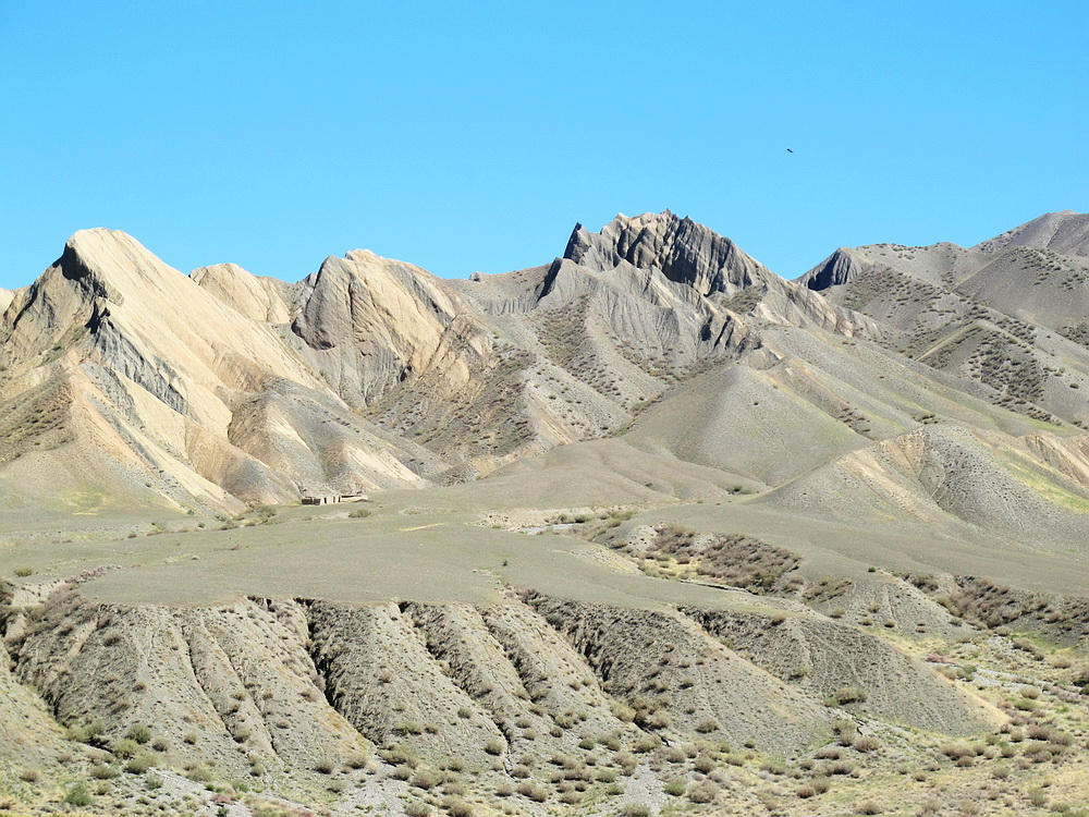 IMG_5631.jpg