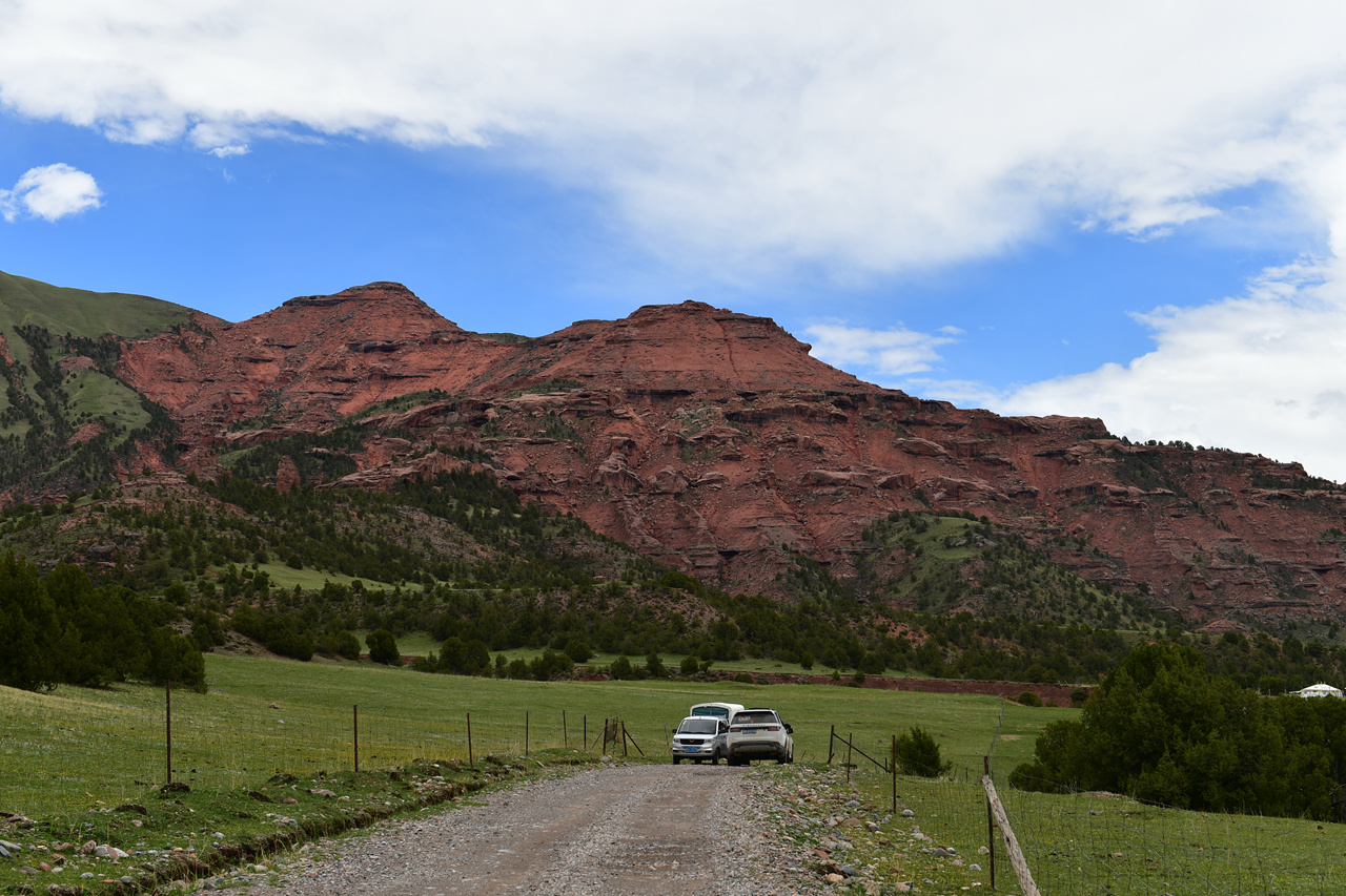 DSC_6940.jpg