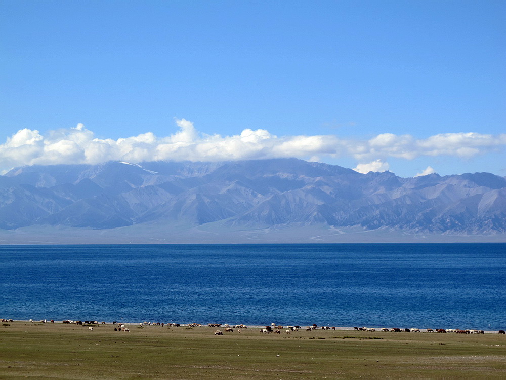 IMG_5869.JPG