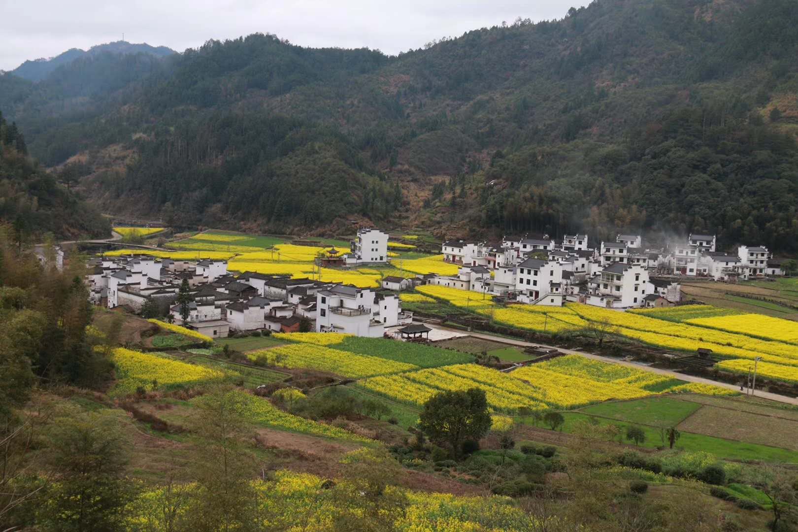 微信图片_20200309150021.jpg