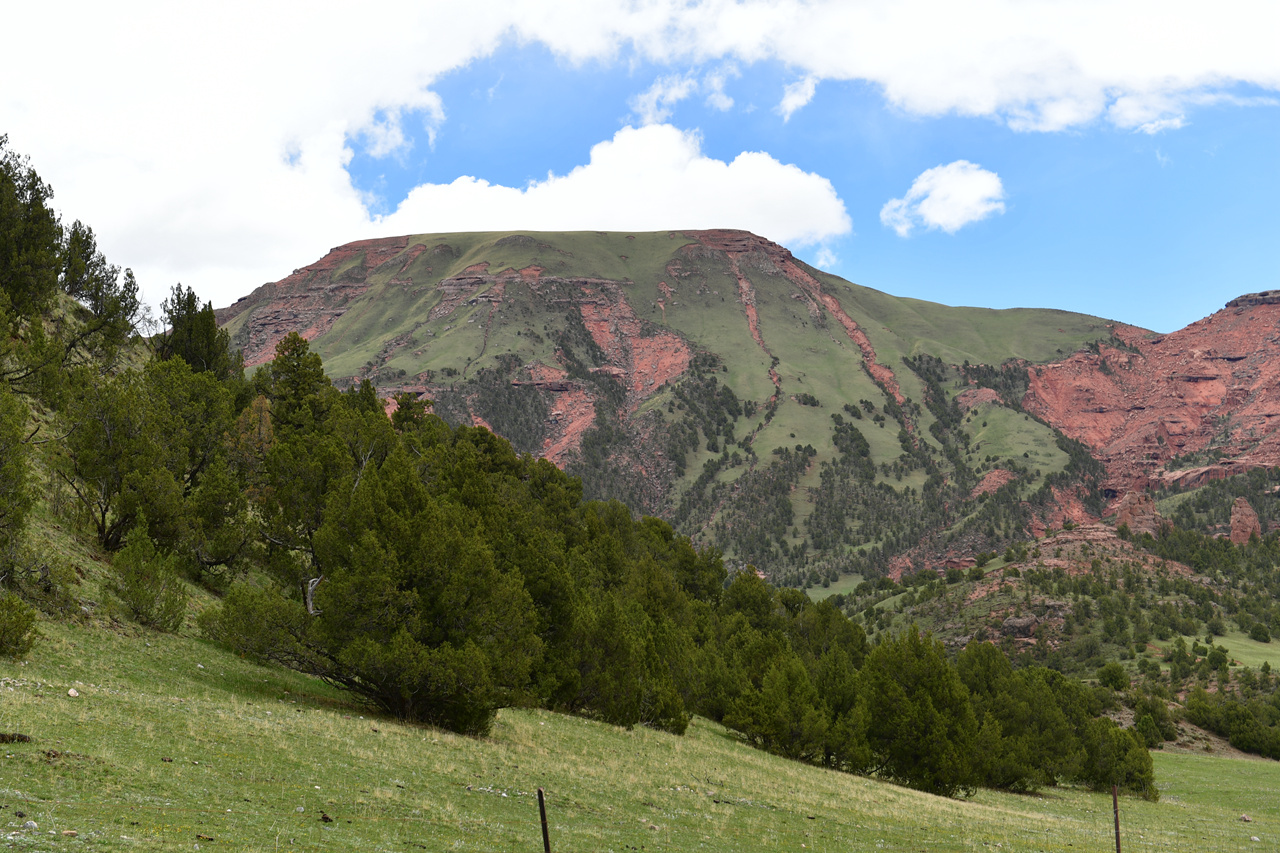 DSC_6941.jpg
