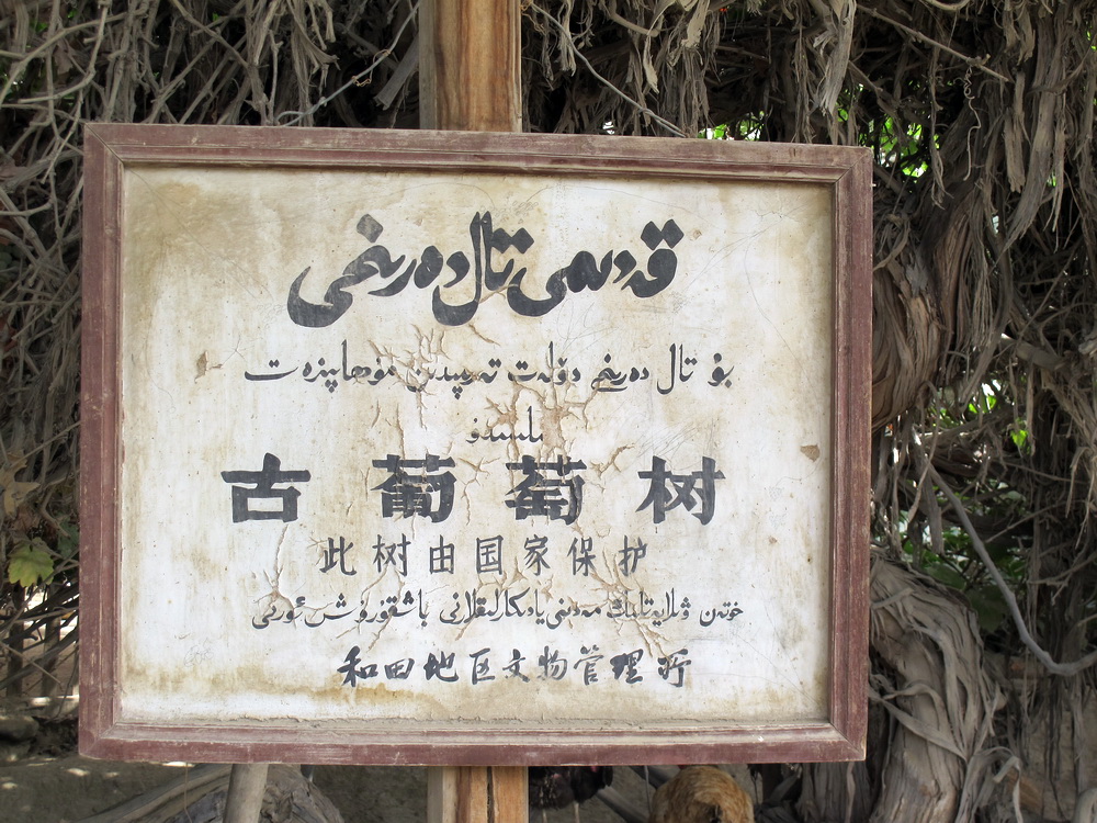 IMG_8486.jpg