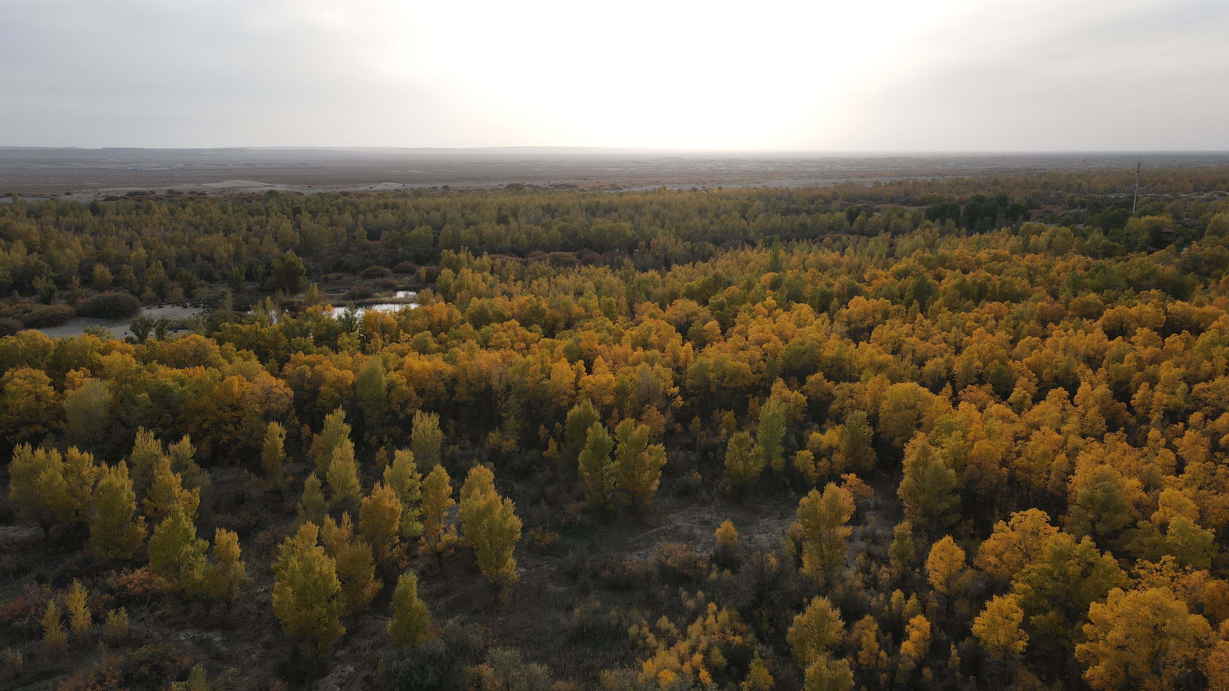 DJI_0097.JPG