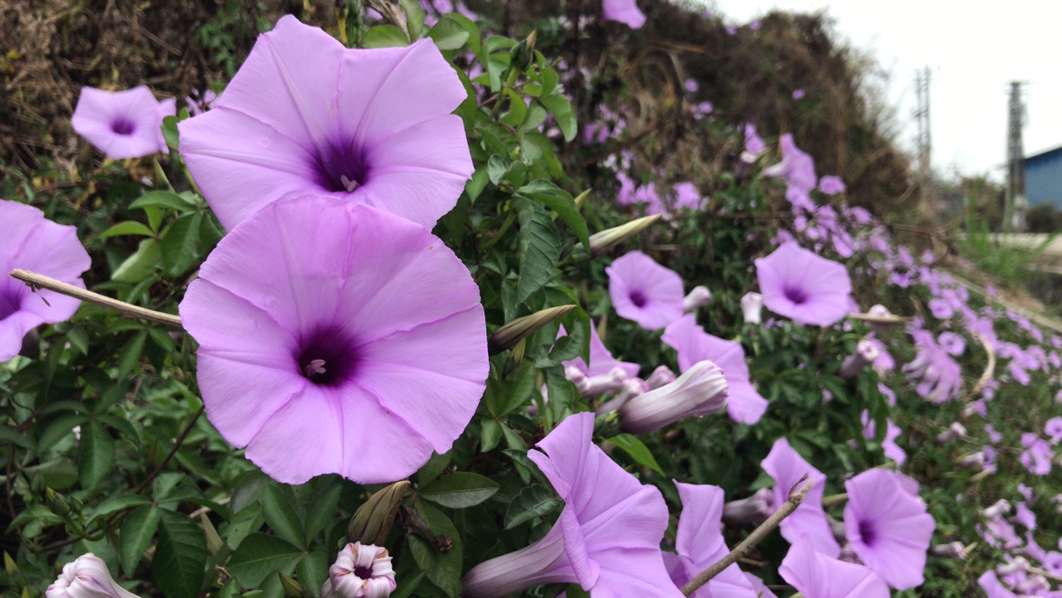 C45C9ECB-A896-4DDF-BA29-E2D9FD9A9895.jpeg