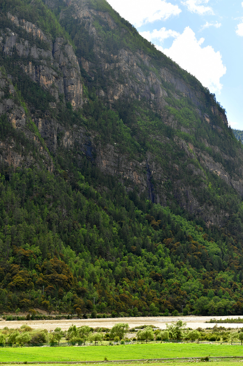 DSC_7088.jpg