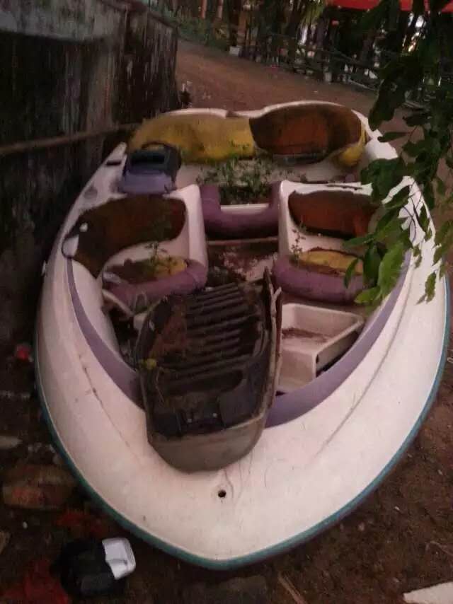 第一次看到它的样子，在垃圾堆里！正面