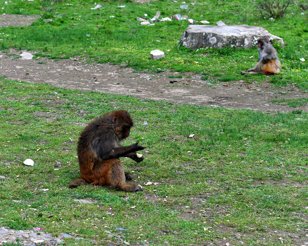 DSC_6817.jpg
