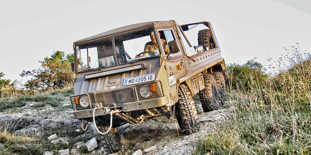 pinzgauer_classic_sue_2.jpg
