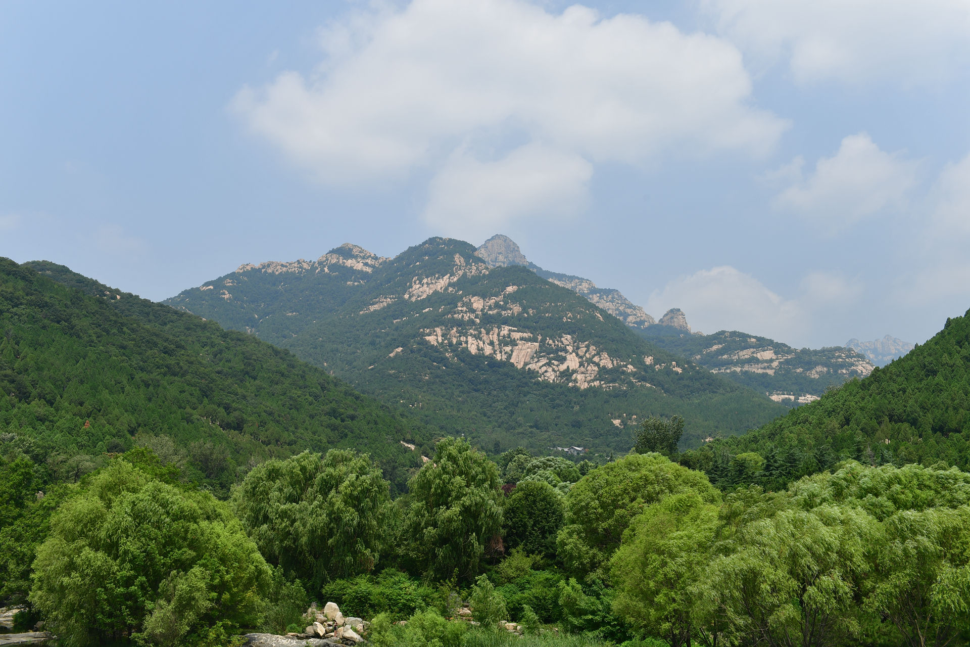 DSC_5188.jpg