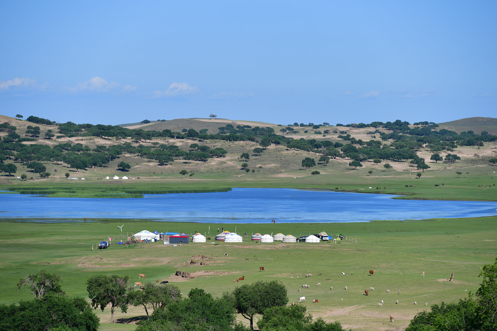 DSC_4519.jpg