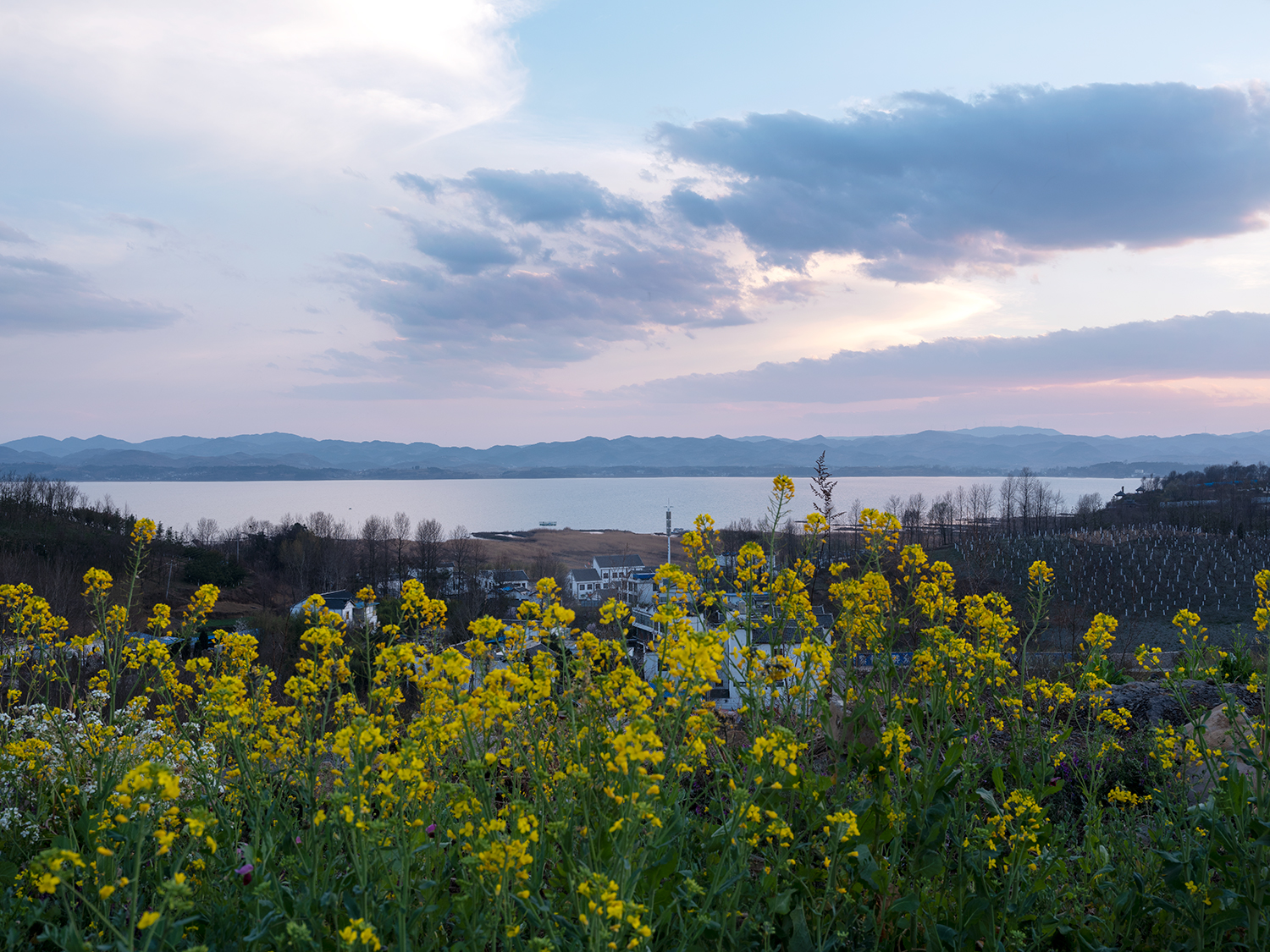 DSCF4300.jpg