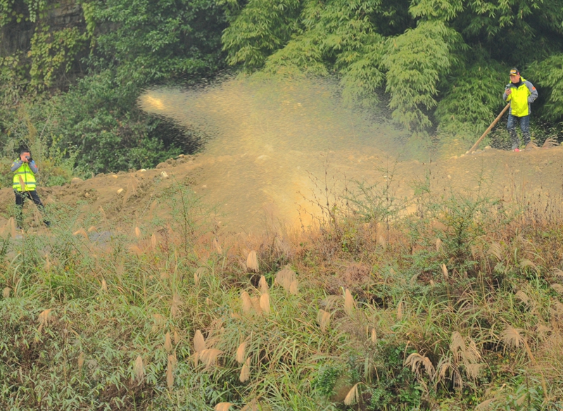 DSC_5127.JPG