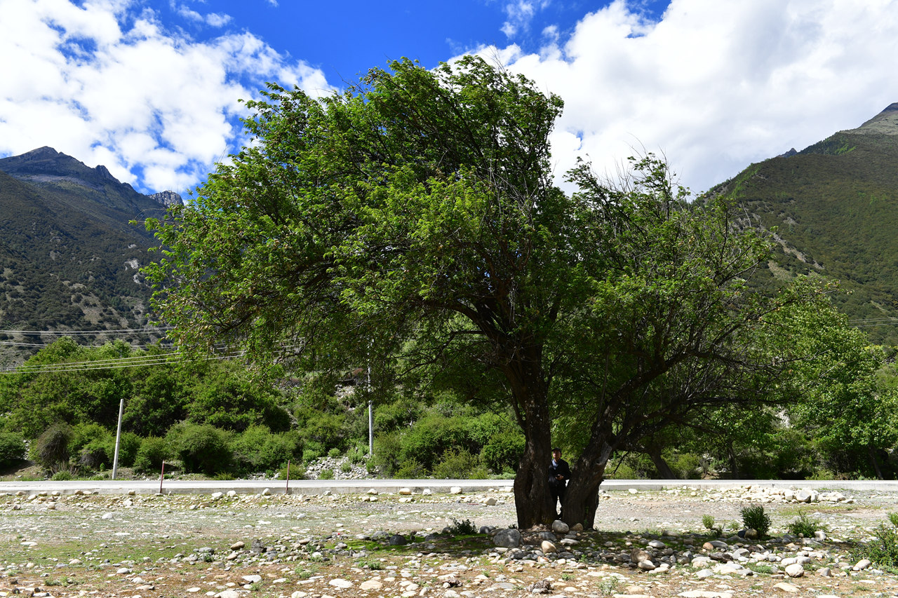 DSC_7087.jpg