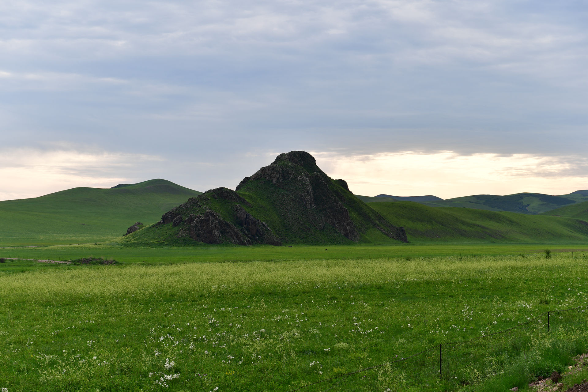 DSC_4700.jpg