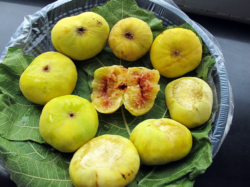 平生第一次遇见无花果!