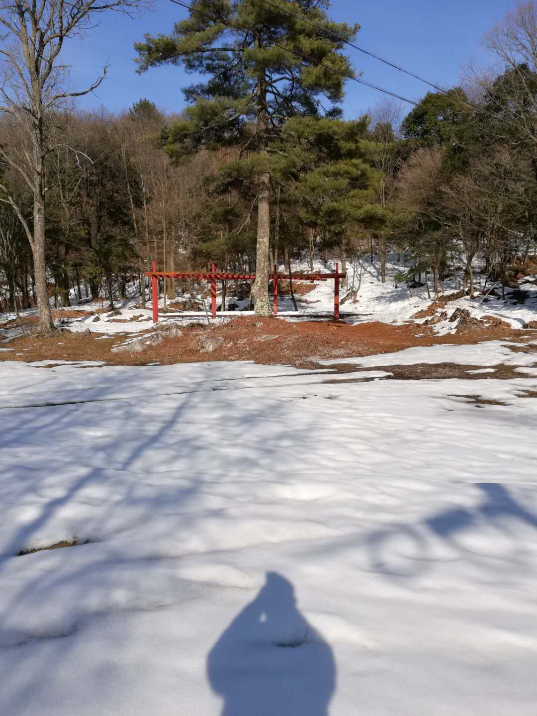 龙坪风景