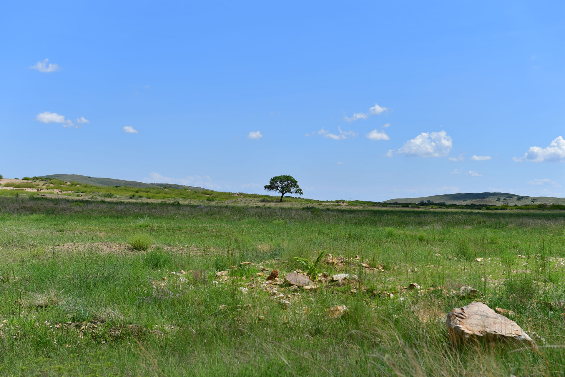 DSC_4416.jpg