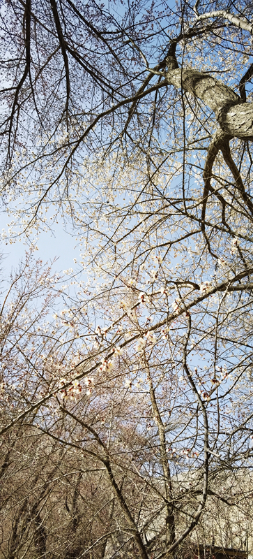 IMG_20210325_120742.jpg