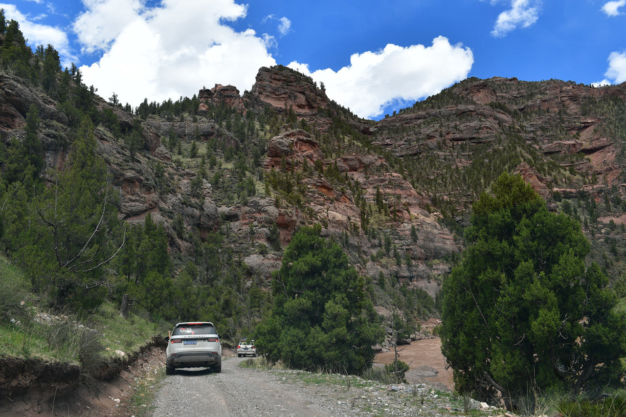 DSC_6937.jpg