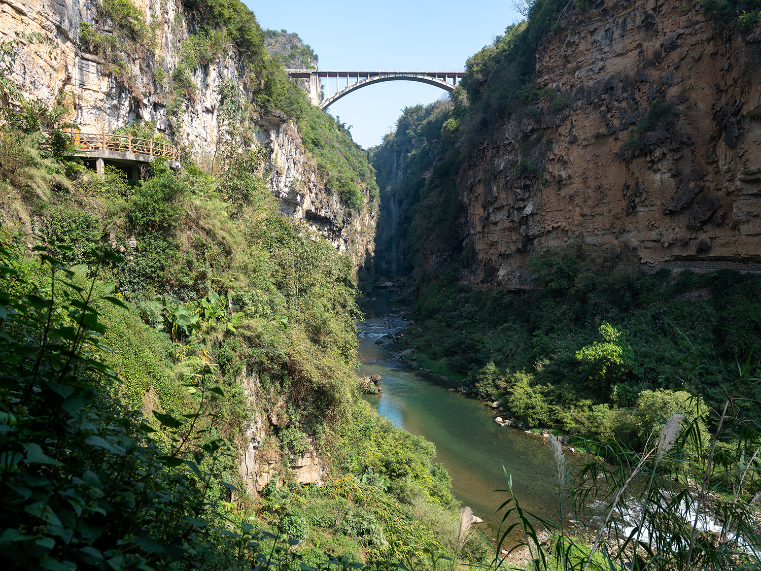 DSCF4374.jpg