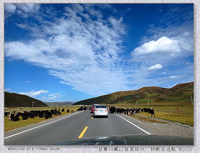 IMG_20200923_163759_副本.jpg