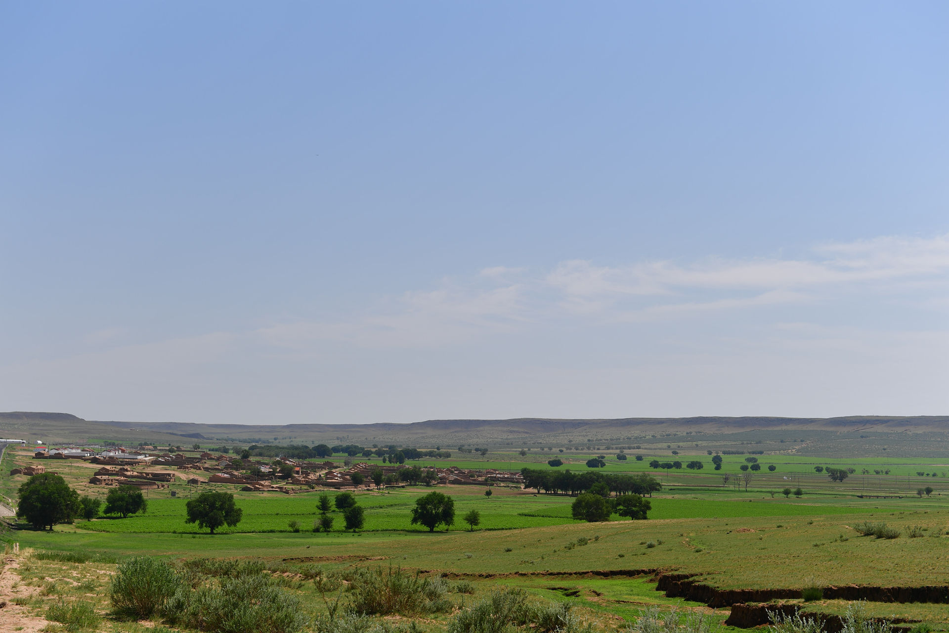 DSC_4316.jpg