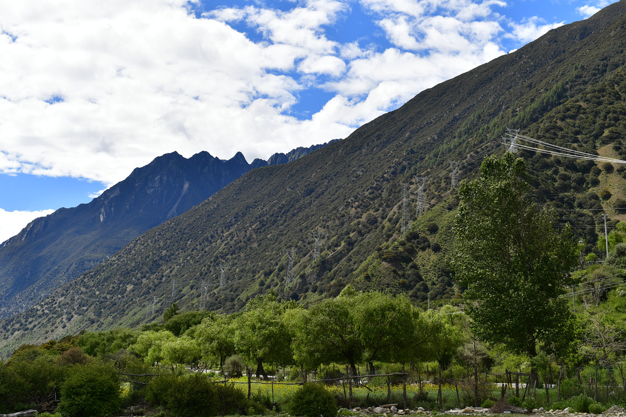 DSC_7090.jpg