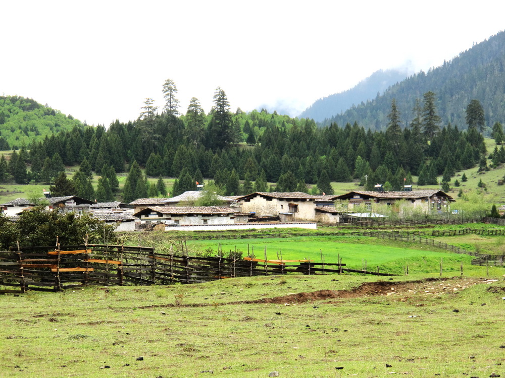 鲁朗草原。有鲁朗瑞士小镇的美称。