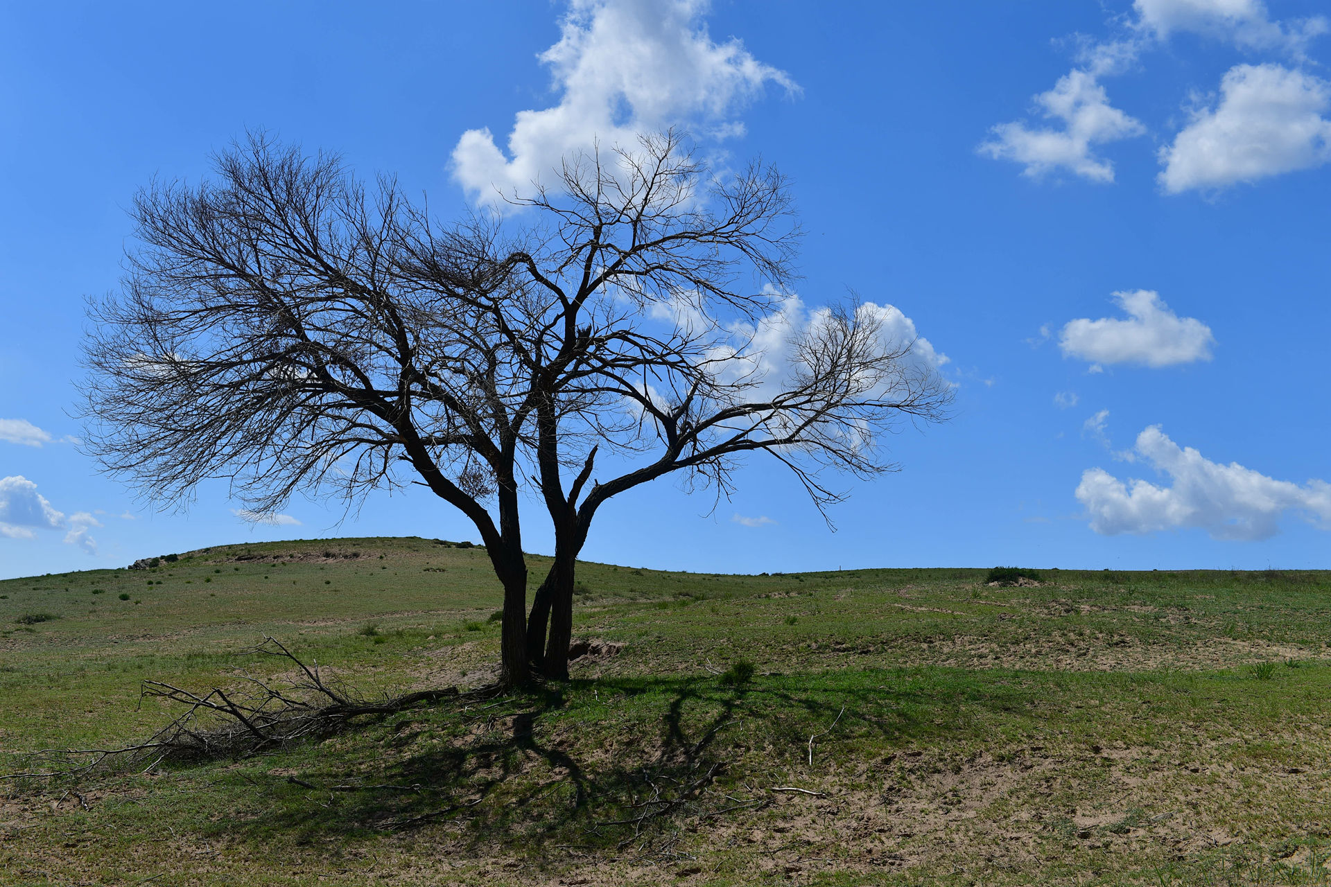 DSC_4444.jpg