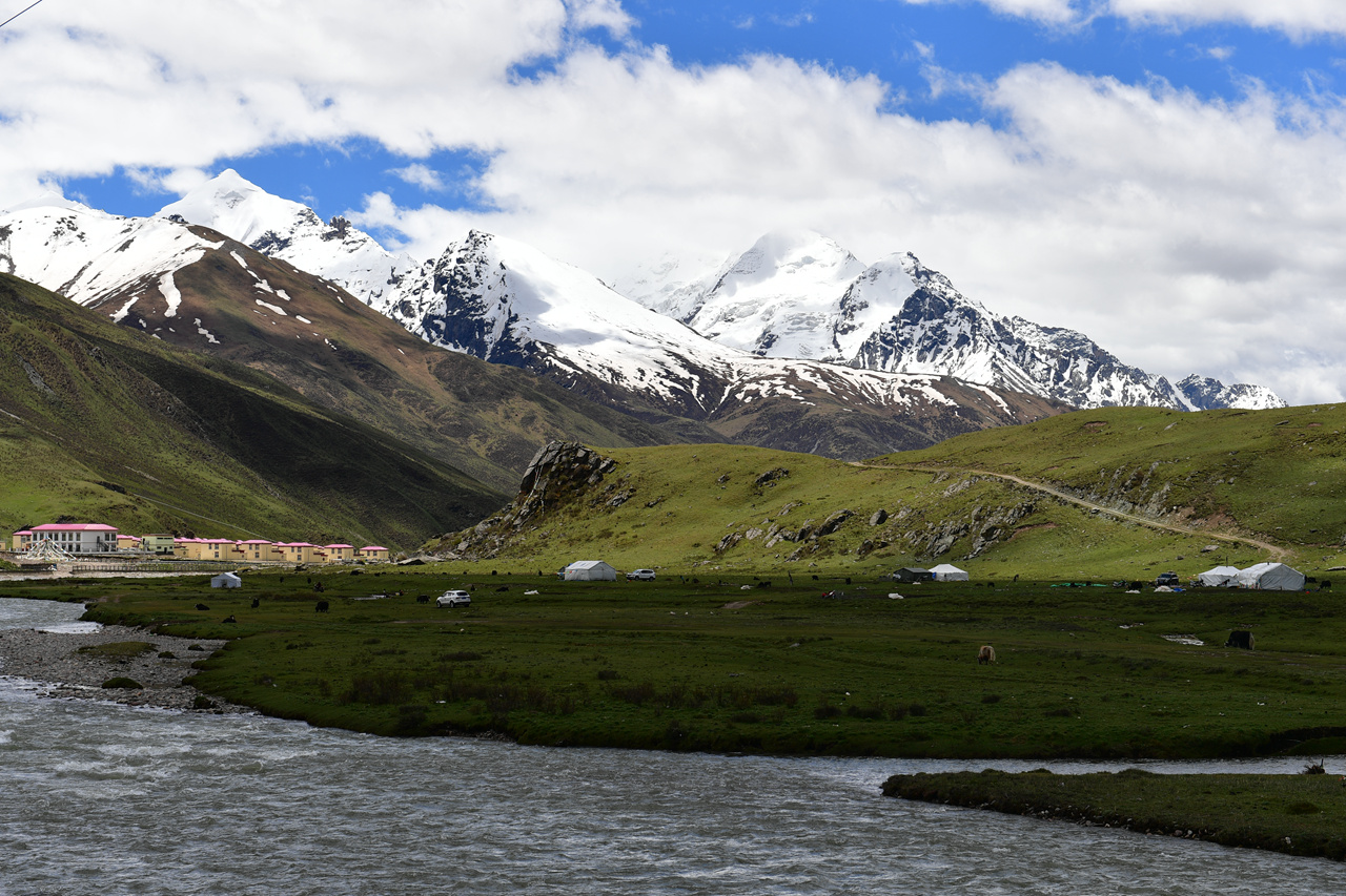 DSC_6990.jpg