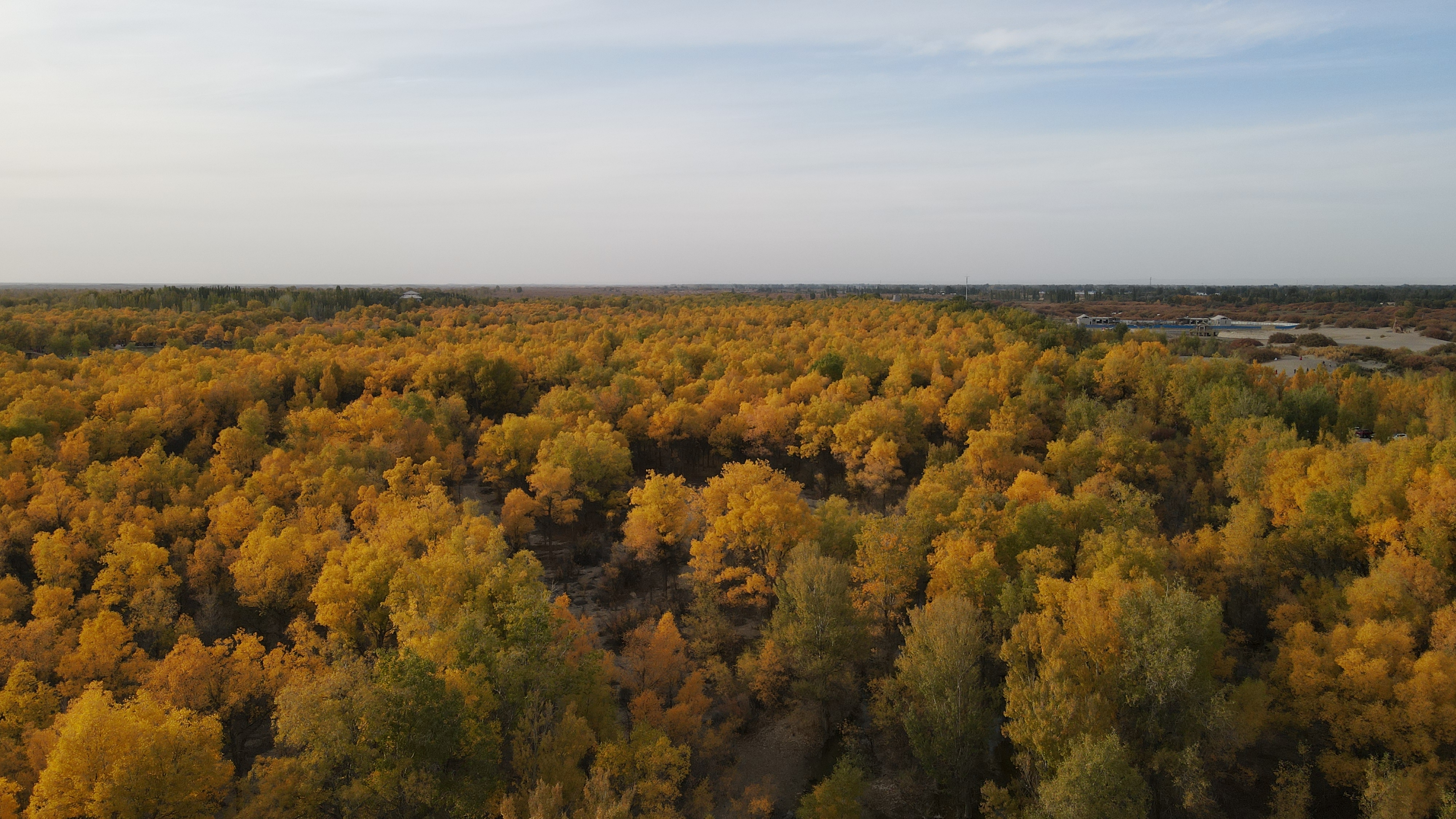 DJI_0099.JPG